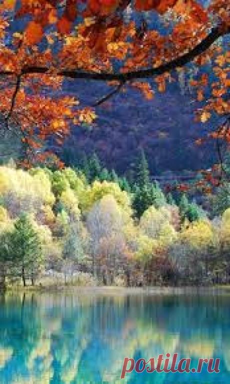 nature - Поиск в Google