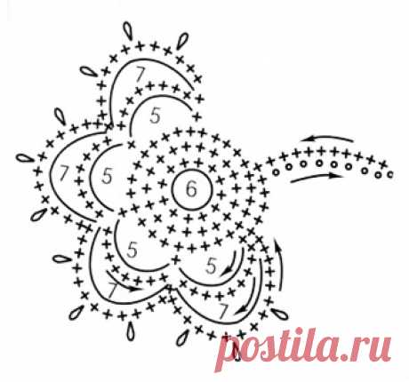 prostzv24.jpg (338×316)