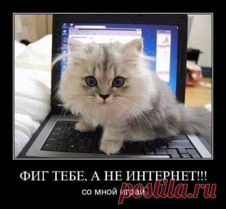 Умный дом. Полезные советы!