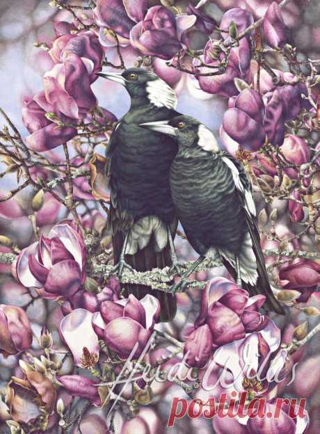 Heidi Willis
Crista Forest Wildlife Art приколол(а) это к доске Art - Birds | Pint…
