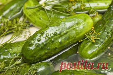 Малосольные огурцы
https://povar.ru/recipes/malosolnye_ogurcy-12198.html

Малосольные огурцы - пошаговый кулинарный рецепт на Повар.ру
С приходом лета начинаю скучать по малосольным огурцам. Поэтому, как только появляются свежие, тут же засаливаю. Мой рецепт малосольных огурцов прост, они готовятся буквально пару дней. Вкус - супер!