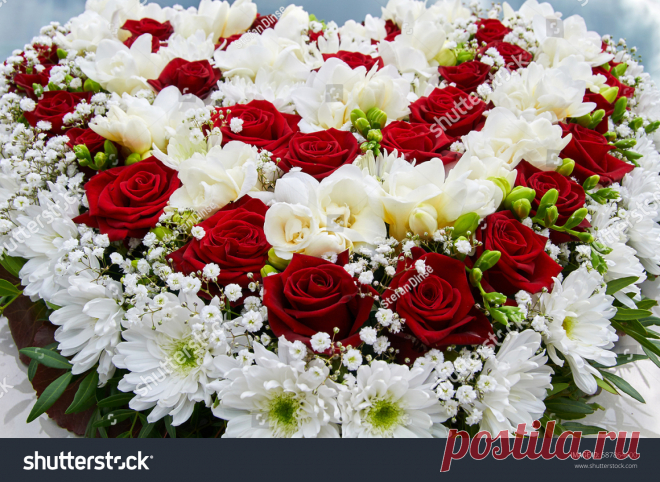 Wedding Car Decoration Стоковые Фотографии 587864600 - Shutterstock
