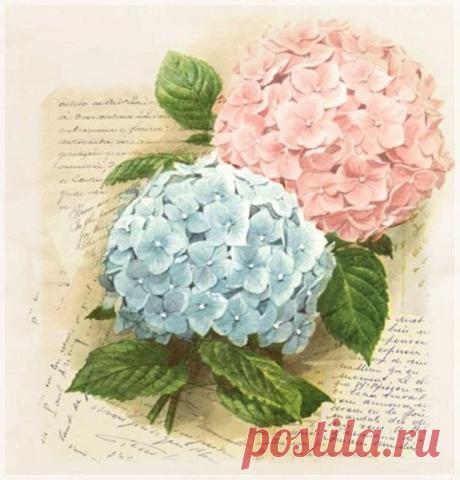 Найдено на сайте manualidades.facilisimo.com.