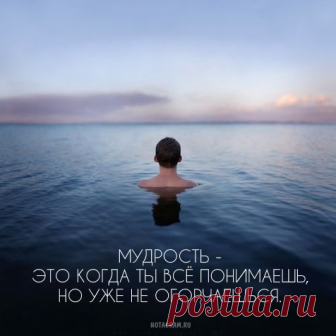 notagram.ru - Главная