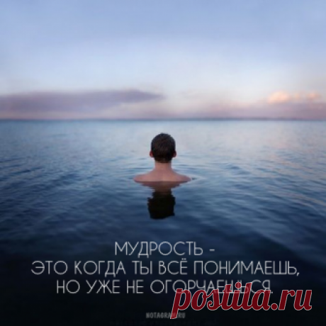 notagram.ru - Главная