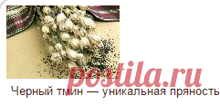Черный тмин лечение и кулинария | Веды и Ведическая культура