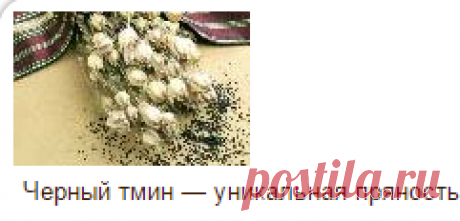 Черный тмин лечение и кулинария | Веды и Ведическая культура