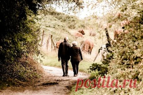 Счастливой невесте было уже за шестьдесят. | Интересные истории из жизни | Яндекс Дзен