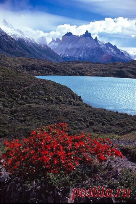 Огненная Земля,  Чили