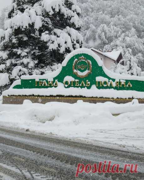 Адлер засыпан снегом. Так выглядит моя любимая клумба во дворе ЖК Солнечный город на улице Тюльпанов 41. | БогатаяЯ | Яндекс Дзен