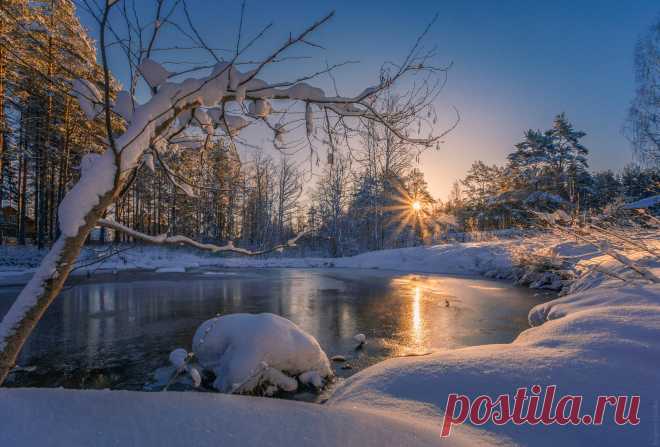 Фотография № 3118671. Фотограф Евгений Луцко