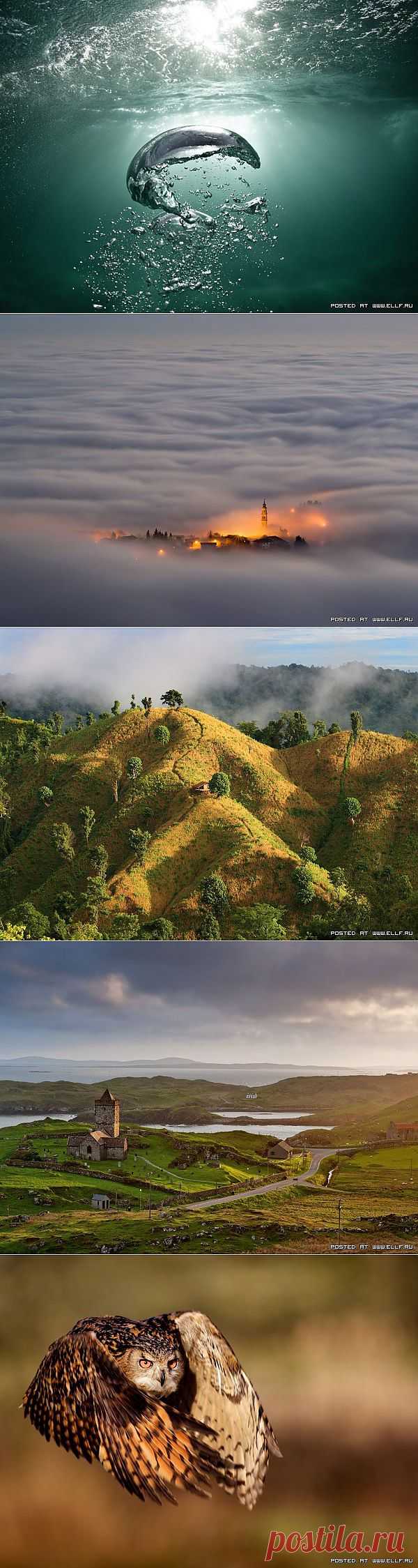 Подборка лучших фотографий от National Geographic (28 фото)