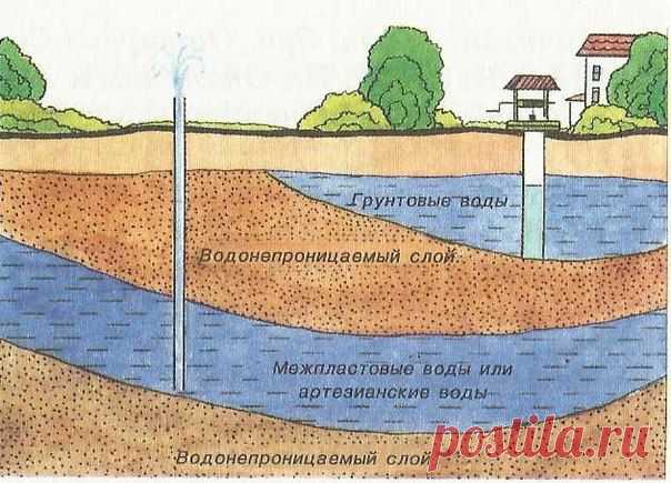 Как найти воду для колодца на участке. 5 советов | Мамам, женщинам, бабушкам и очень любознательным.