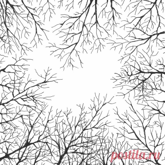 Assembly of honey - February colours