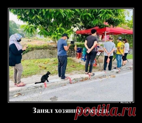 Новые весёлые картинки