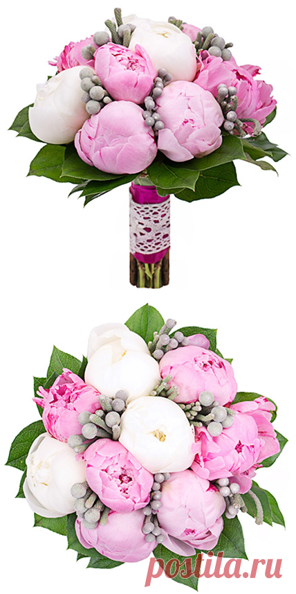 Букет с пионами «Белоснежка» по лучшим ценам с доставкой по Москве