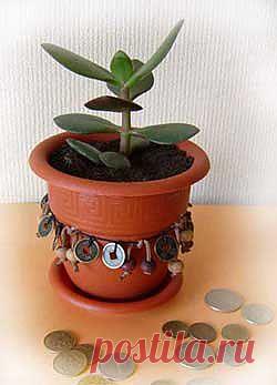 Перевоплощение цветочного горшка - Комнатные цветы и растения
