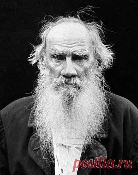 Чтоб жить надо рваться,путаться, биться.ошибаться,начинать и опять начинать,опять бросать и вечно бороться.Спокойствие - душевная трусость.(Лев Толстой)