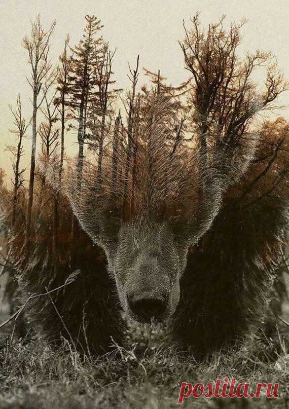 МЫ РОДИЛИСЬ ЯЗЫЧНИКАМИ!

С самого раннего детства для нас нет никаких проблем 