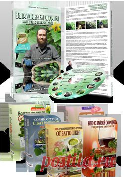 Как избавиться от тли на цветах и плодовых деревьях? | Полезные советы