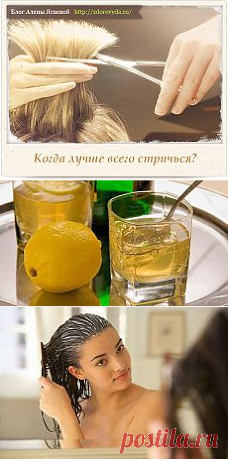 ЗДОРОВЬЕ. все для красивых волос | Фотографии и советы на Постиле