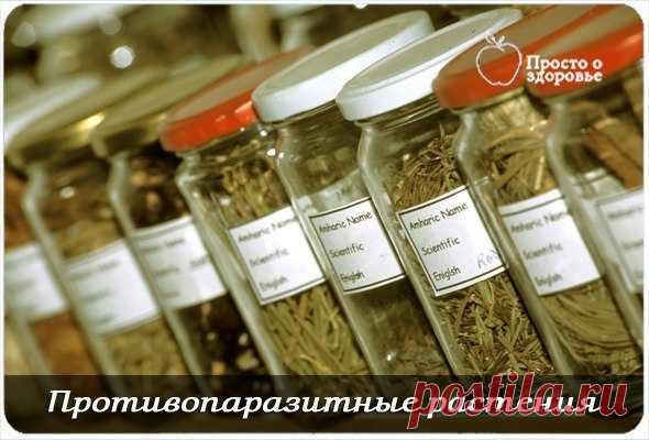 ПРОСТО О ЗДОРОВЬЕ