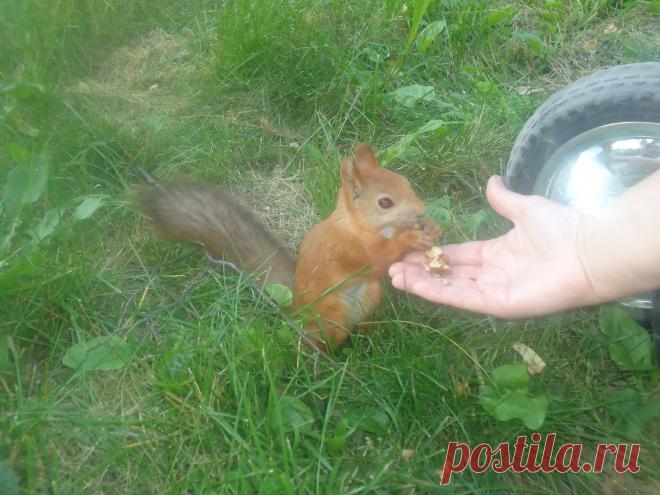 В городском парке