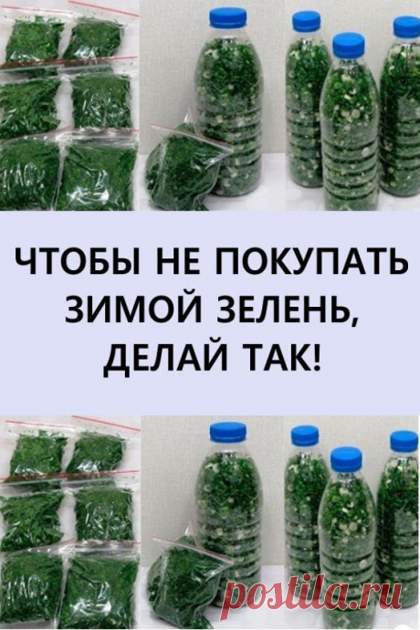 Чтобы не ПОКУПАТЬ зимой ЗЕЛЕНЬ, делай так!