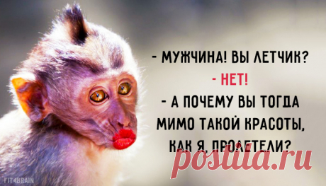 Открытка дня Потому что весна уже даёт о себе знать! :)