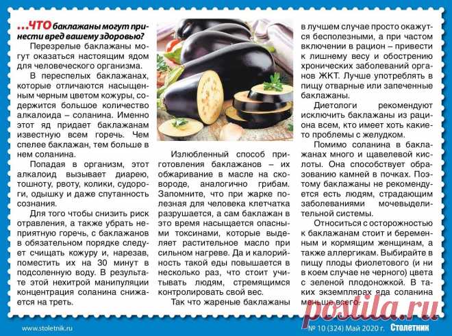 О вреде баклажанов