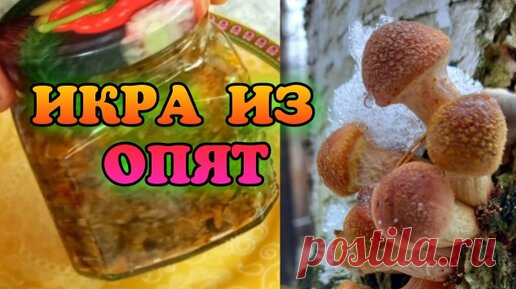 Грибная икра из опят, пушка рецепт 🔥🍄🔥 | Хранитель рецептов! 👨‍🍳🔥🥩🔥 | Дзен
