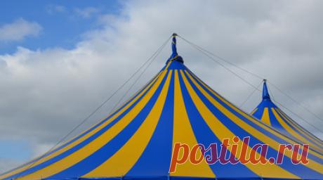 Россельхознадзор выявил нарушения в цирке, где медведь напал на дрессировщицу. Специалисты Россельхознадзора выявили нарушения в приехавшем на гастроли в Петрозаводск цирке, где медведь напал на дрессировщицу. Читать далее