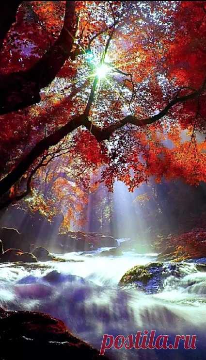 Осень. Красивые gif картинки. Стихи.