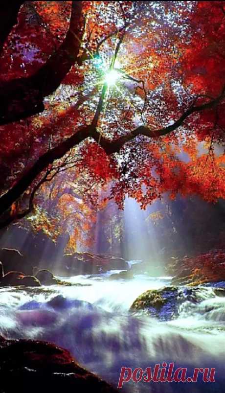 Осень. Красивые gif картинки. Стихи.