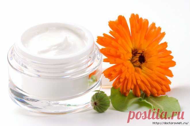 Мазь календулы на все случаи.
