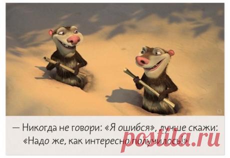 философия опоссумов :)