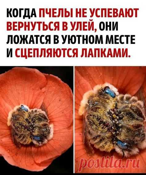 Какая милота))❤️❤️❤️