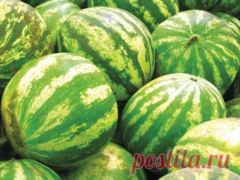 ВООБРАЗИ СВОЮ ЦЕЛЬ.