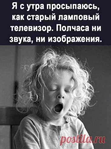 359f5983.jpg (526×705)