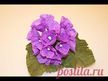 Гортензия из гофрированной бумаги / Цветы из бумаги / Hydrangea from paper - YouTube

В этом мастер-классе вы научитесь делать веточку гортензии из гофрированной бумаги. 

#гортензияизгофрированнойбумаги #цветыизбумаги #flowersfrompaper