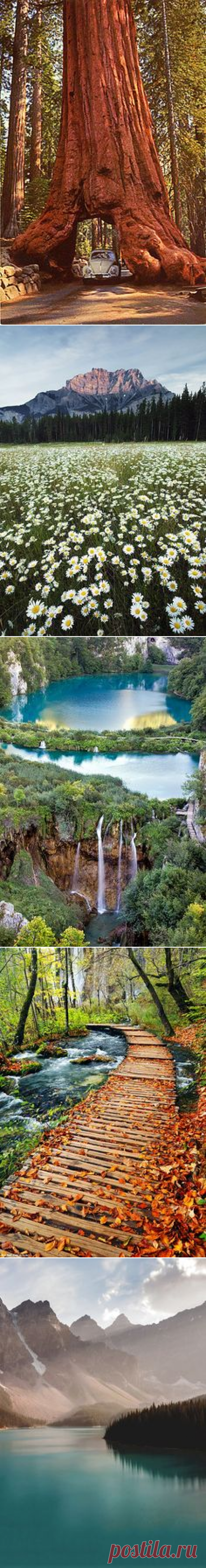 (18) Pinterest