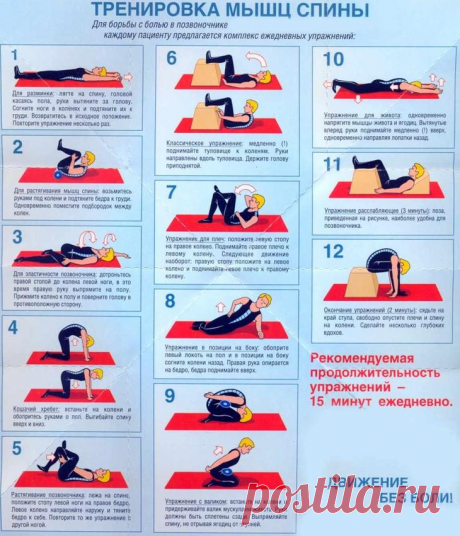 Эффективные упражнения для растяжки спины и позвоночника