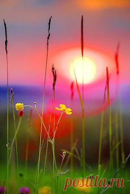 Buttercup Sunset, Gloucester, England | marvelous（素晴らしい瞬間・人・場所）