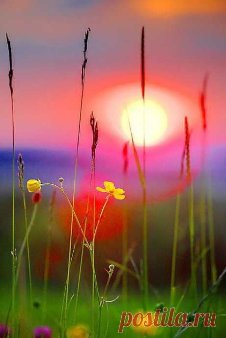 Buttercup Sunset, Gloucester, England | marvelous（素晴らしい瞬間・人・場所）