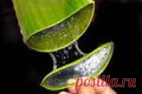 Будьте здоровы! Рекомендовано для людей со слабым зрением