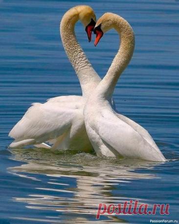 Маленькие секреты взаимоотношений 1. Когда встречаются два человека, наибольшую пользу в общении извлекает тот, кто лучше себя знает: он спокойнее, увереннее и не в пример остальным в ладах с самим собой.&nbsp;2. Никогда не позволяйте поведению других людей влиять на ваше самочувствие.&nbsp;3. Не стоит обращать внимание...