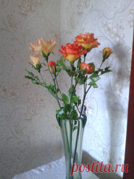 Фотографии Любы Назаровой – 8 альбомов