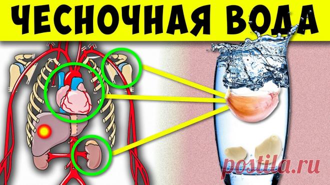 Вот что Творит, Чесночная Вода, если пить Каждый день 2 недели Не забудь подписаться: https://www.youtube.com/channel/UCVabytSq-Mewk0vxAHNznGg?sub_confirmation=1и ОБЯЗАТЕЛЬНО нажми на колокольчик 🔔 (что бы получать поле...