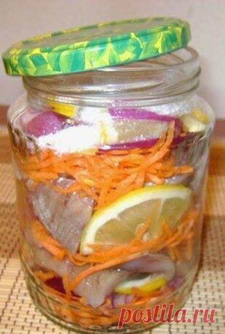 Не совсем привычный рецепт посола селёдки
Так захотелось чего-нибудь необычного, чтобы было не как всегда. Это я сейчас...
Читай дальше на сайте. Жми подробнее ➡