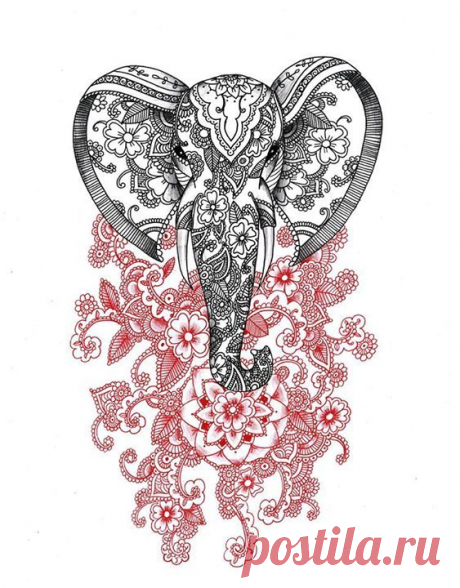 (5) Фотографии/видео Drawing &amp; Art シ - Alexandra Frances Art